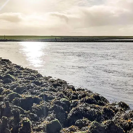 펜션 2 Person In *